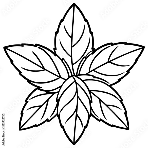Mint line art vector