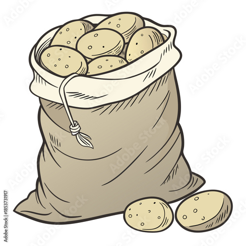 potato vector illustration for food design and clipart