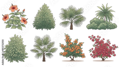 Assorted Trees and Plants Illustrated in Various Styles and Colors