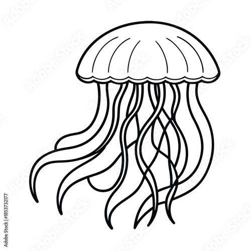 Elegant Jellyfish Outline Vector Image vector line art on white background