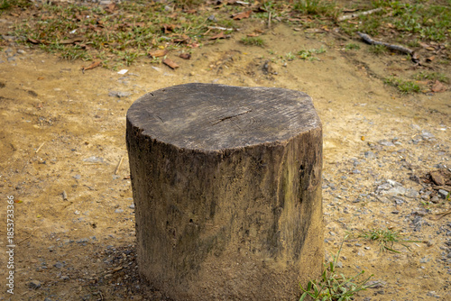 Rustic wooden stump seat outdoors on natural ground