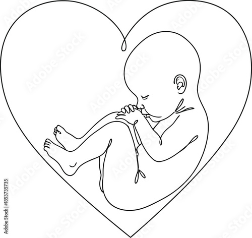 Unborn Baby in Heart Shape Line Art Illustration