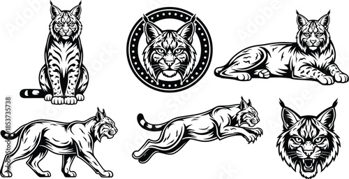 Lynx wildcat illustration collection, powerful predator poses and fierce head emblems, detailed black and white vector artwork, wildlife mascot and tattoo style design set