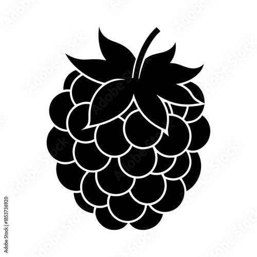 vector clip art blackberry with black outline for web and graphic design