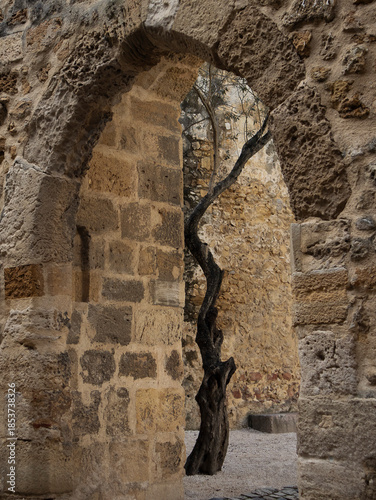 A bare tree branch is visible in the old castle.오래된 고성에 앙상한 나뭇가지가 보입니다.