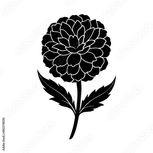 vector clip art marigold on white background for web and graphic design