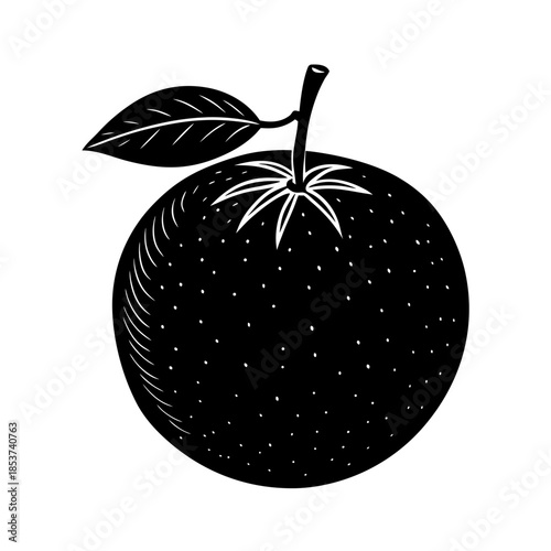 vector clip art orange on white background for web and graphic design