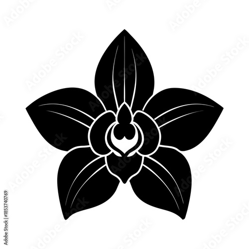 vector clip art orchid on white background for web and graphic design