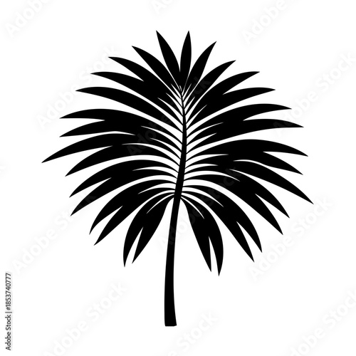 vector clip art palm leaf for web and graphic design