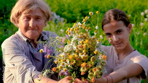 Woman with medicinal herbs. Selective focus. nature.