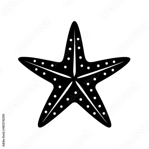 vector clip art starfish for web and graphic design
