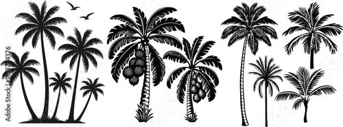 A tropical summer landscape featuring a vector illustration of a palm tree silhouette against an exotic paradise beach with coconut leaves and an ocean island nature design