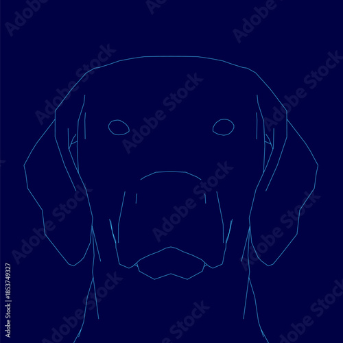 Labrador retriever's head is outlined in blue against a dark blue background for bold contrast. This contour illustration creates a striking and graphic portrait of the American dog breed.