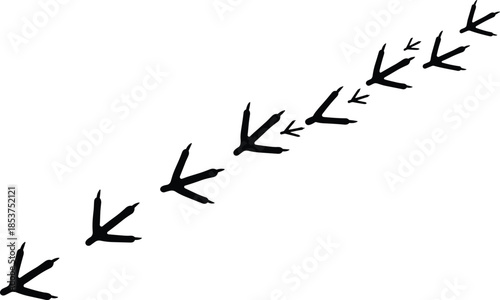 Bird footprints trail silhouette, animal tracks pattern, wildlife movement concept, black vector illustration, minimal nature background isolated white