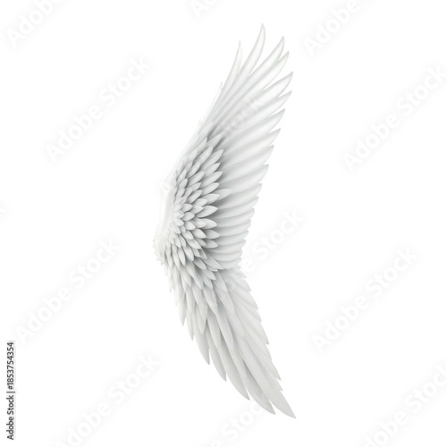 A serene white wing in flight against a clean white background from a side viewpoint