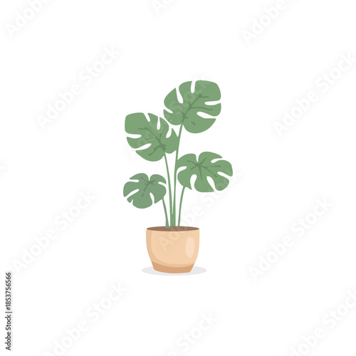 Monstera in a pot vector illustration