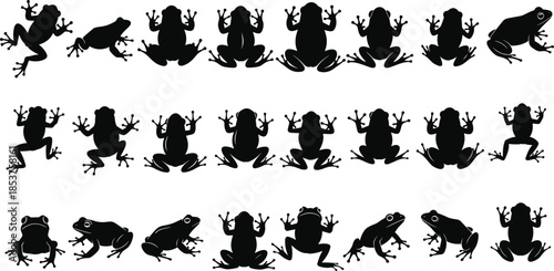 Frog silhouette set, amphibian animal poses collection, black vector illustration icons, wildlife nature design elements, isolated cartoon shapes