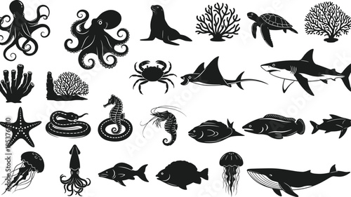 Marine animal silhouette set, ocean wildlife icons collection, sea creatures vector illustration, black nautical design elements isolated on white background