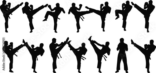 Martial arts fighter silhouette set, karate taekwondo kick action poses, combat training athletes, black vector illustration collection, isolated sport icons