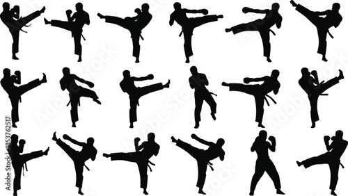 Martial arts silhouette collection, black and white illustration, kicking poses, fighting stances, karate, taekwondo, uniform, belt, motion, discipline