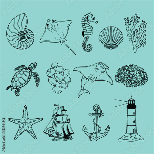 Oceanic illustrations for design