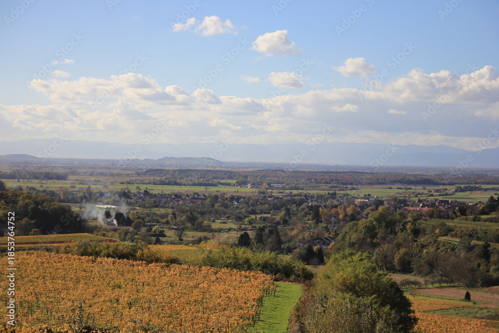 Naklejka premium Golden Autumn in Vineyards near Kenzingen 