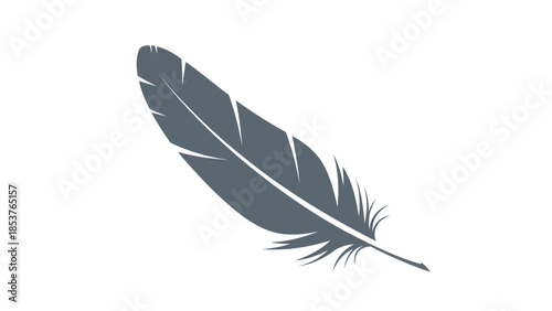 feather isolated on white background