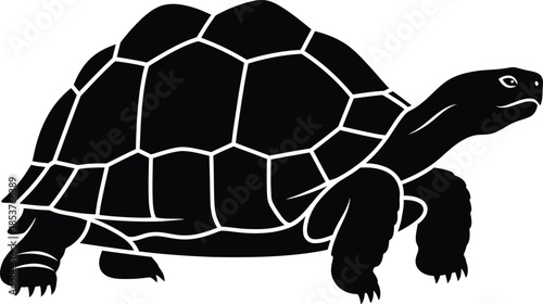 Simple black silhouette of a turtle walking on a white background