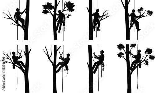 Tree climber silhouette set, arborist rope work poses, forestry maintenance and pruning activities, black vector illustration collection, isolated outdoor profession icons