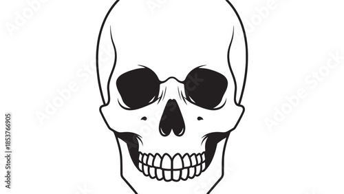 Monochrome Skull Illustration: Detailed Lineart of Human Cranium, Teeth, and Jawbone in Vector Design.