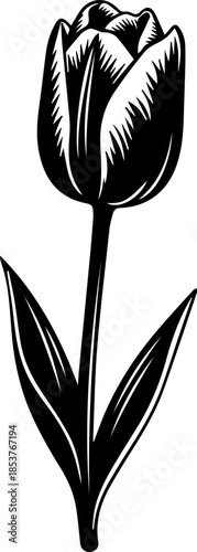 Elegant black and white tulip illustration for sophisticated designs and springtime projects, originally a scalable vector graphic with timeless appeal.