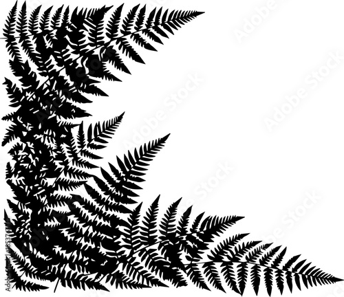 Elegant fern fronds forming a natural corner border, perfect for botanical designs, invitations, or nature-themed projects, originally created as scalable vector art