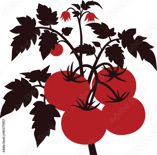 A stylized illustration of a tomato plant with ripe red tomatoes