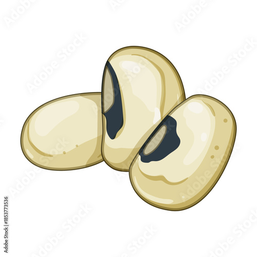 Raw black eyed peas in a simple vector illustration, isolated on white background fresh, unprocessed legumes ideal for vegan, vegetarian and healthy cooking and nutrition references