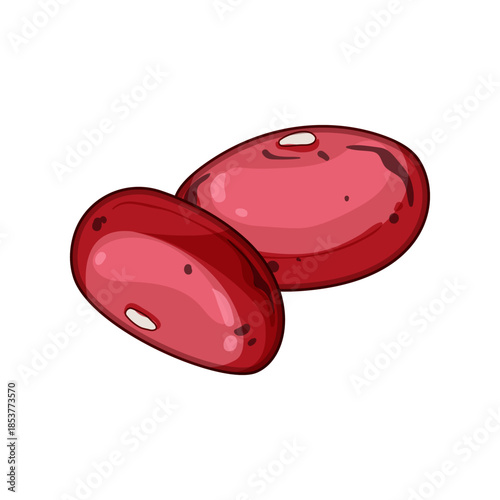 Red kidney beans are depicting a natural vegetarian protein source, illustrating plant based nutrition, dietary fiber, and healthy cooking components for various dishes