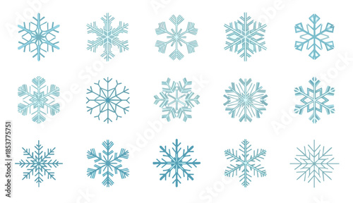 Snowflake Variety: A mesmerizing collection of unique snowflakes, showcasing the intricate beauty and diversity of winter's delicate ice crystals. 