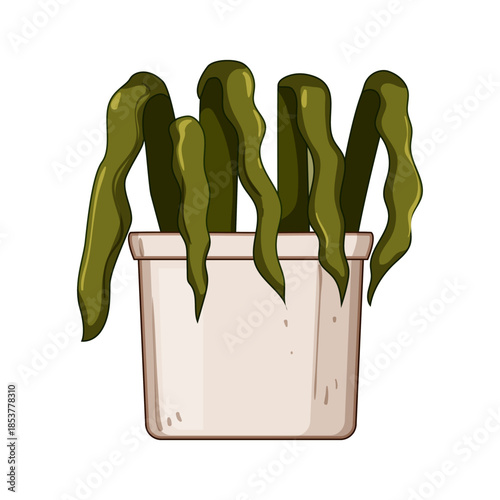 Potted plant displaying drooping, lifeless leaves, illustrating concepts of drying, dying, dehydration, poor health, neglect, and lack of care on a white background