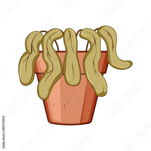 Dead houseplant with drooping brown leaves in a terra cotta pot on white background, symbolizing neglect, lack of water, failed plant care and dehydrated indoor gardening issues