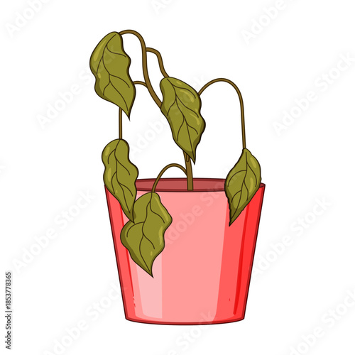 Wilting houseplant with droopy brown leaves in a small red pot symbolizing neglect, drought, lack of care, and environmental problems, on a white background