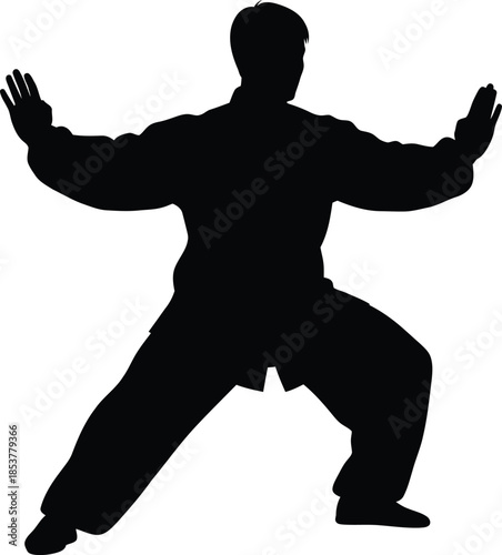 Silhouette of a person practicing tai chi or a similar martial art