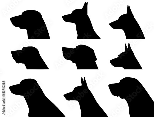 Silhouettes of heads of various dog breeds with different ear shapes