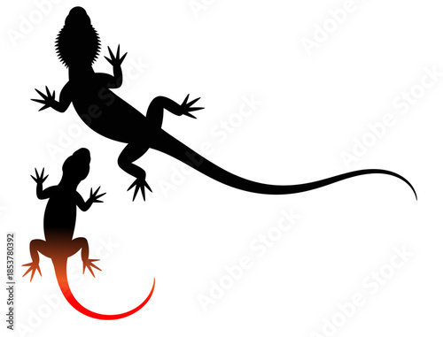 Two black lizard silhouettes