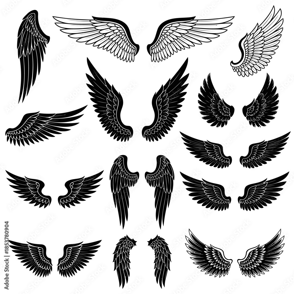 Obraz premium Collection of Various Angel Wings in Black and White.