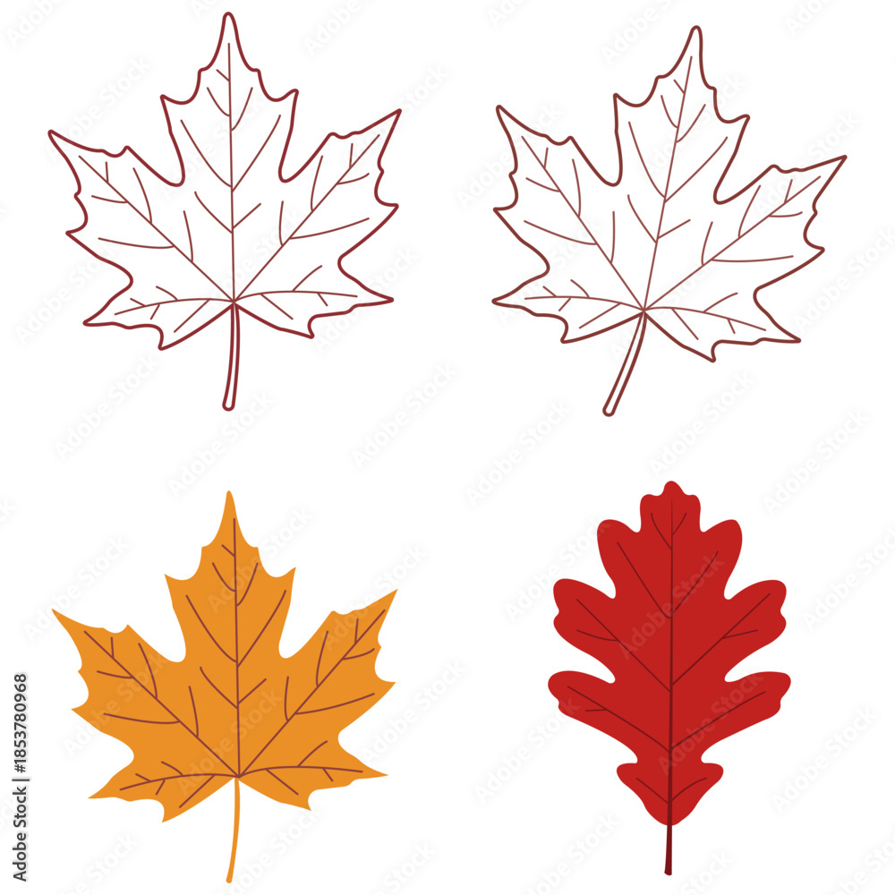 Fototapeta premium Autumn Leaf Collection Illustration Featuring Seasonal Maple Foliage and Natural Botanical Design Elements