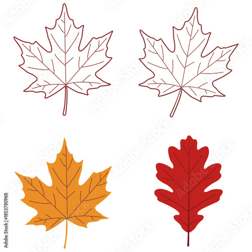 Autumn Leaves Collection Four detailed illustrations of fall foliage in warm autumn tones, showcasing the intricate veins and unique shapes of maple and oak leaves, embodying the season's change.