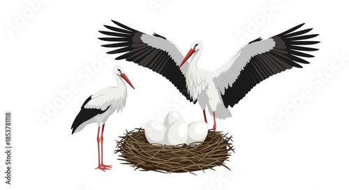 Two white storks standing near their large nest made of sticks containing four white eggs, capturing a peaceful moment in the life of these birds.