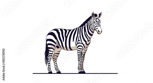 Majestic zebra standing in a full profile view showing its unique and intricate black and white stripe patterns, a classic example of African wildlife.