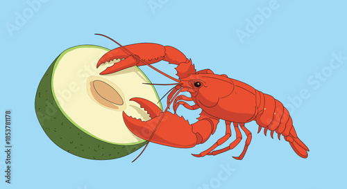 Close up illustration of a red lobster holding a half cut green avocado with its large claws on a light blue background.