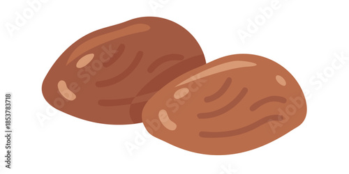 Two brown nuts on a white background