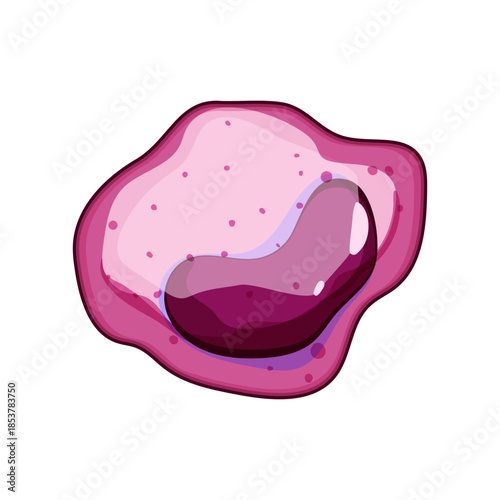 Monocyte cell illustrating body's natural defense against pathogens, playing a vital role in immunity and health by identifying and destroying foreign invaders